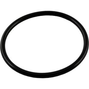 Waterway Plastics 806105194732 O-Ring