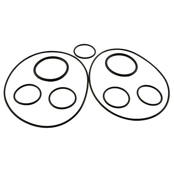 Zodiac 37024 O-Ring Replacement Kit