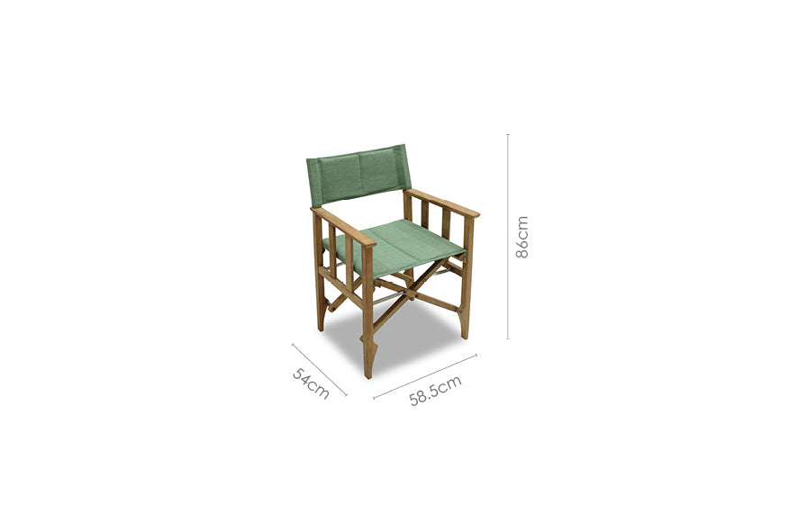 LifestyleGarden Zircon Teak Folding Director Chair, Piquant Green