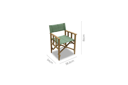 LifestyleGarden Zircon Teak Folding Director Chair, Piquant Green