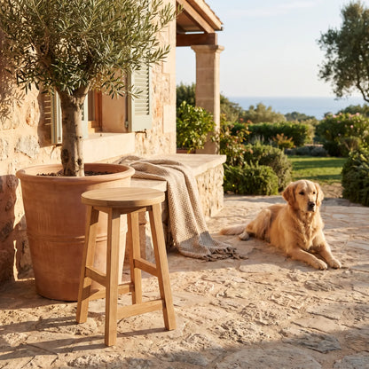 Anderson Teak Alpine Round Counter Stool