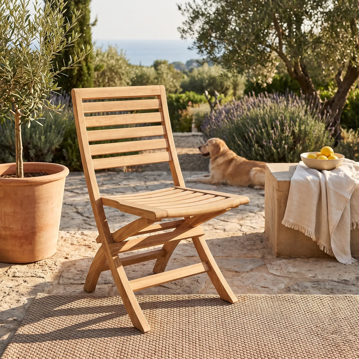 Anderson Teak Andrew Folding Chair (sell & price per 2 chairs only)