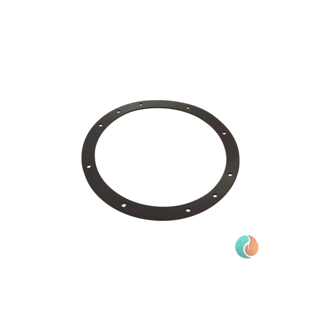 Aladdin Vinyl Liner Light Niche Gasket, for Sta-Rite | G-435