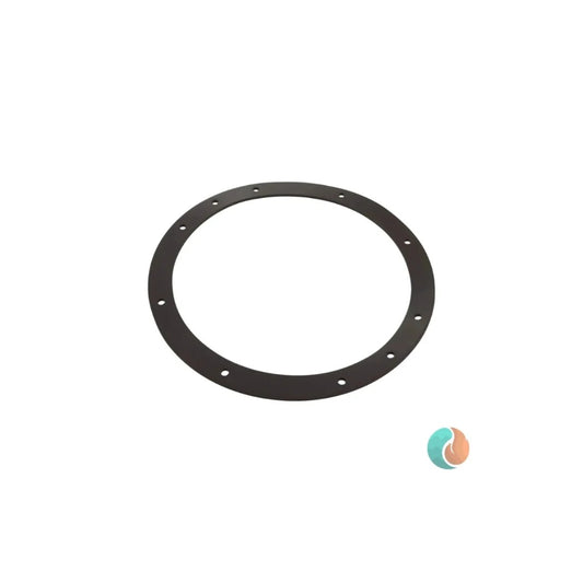 Aladdin Vinyl Liner Light Niche Gasket, for Sta-Rite | G-435
