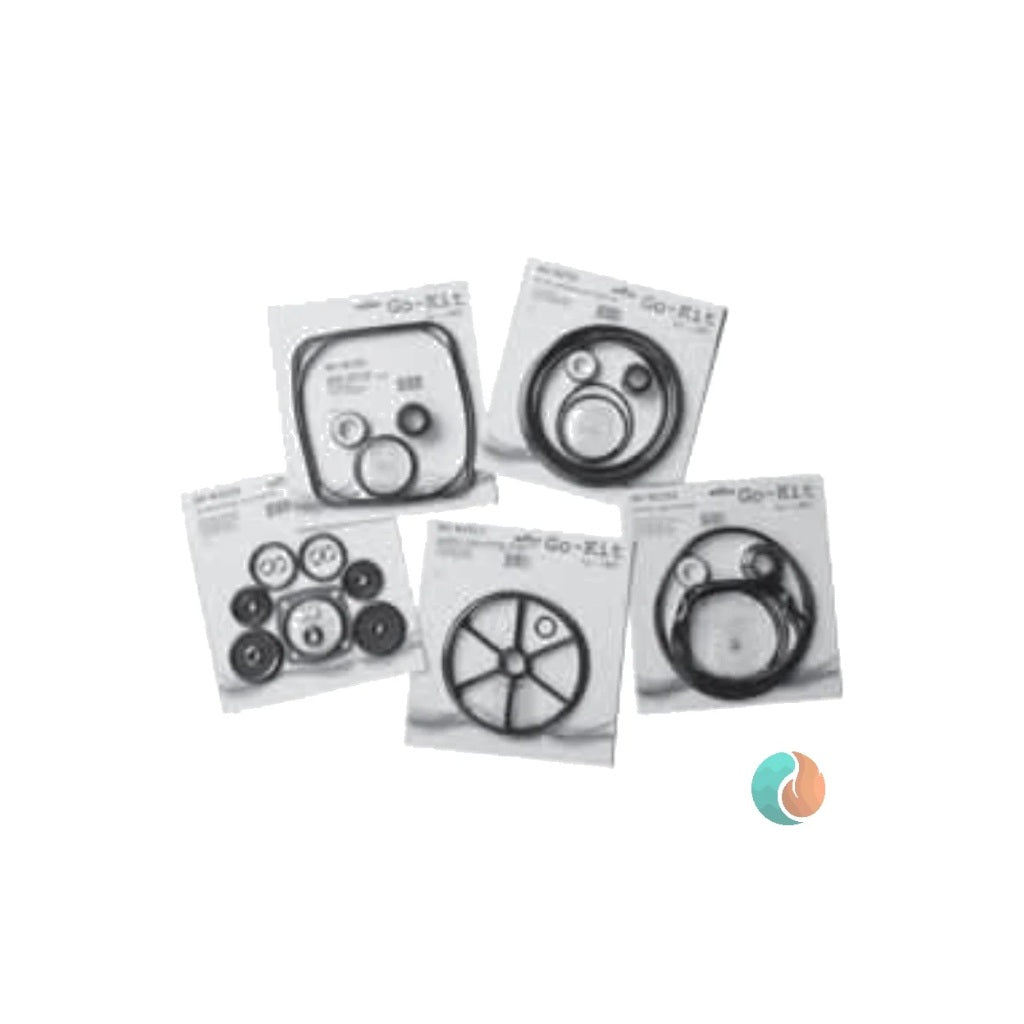 Aladdin Pump Repair Kit, for Purex C System | GO-KIT31