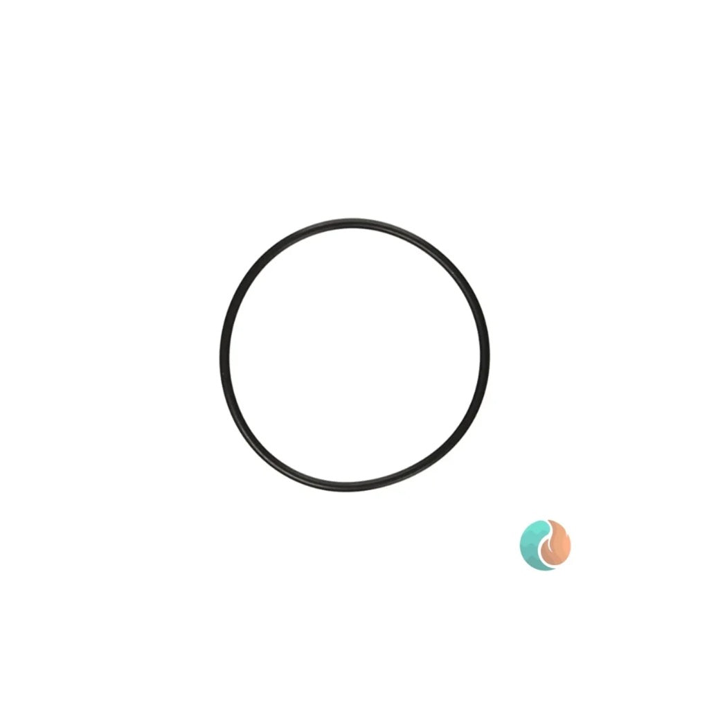 Aladdin O-Ring, for Pool Equipment, Replacement | O-231