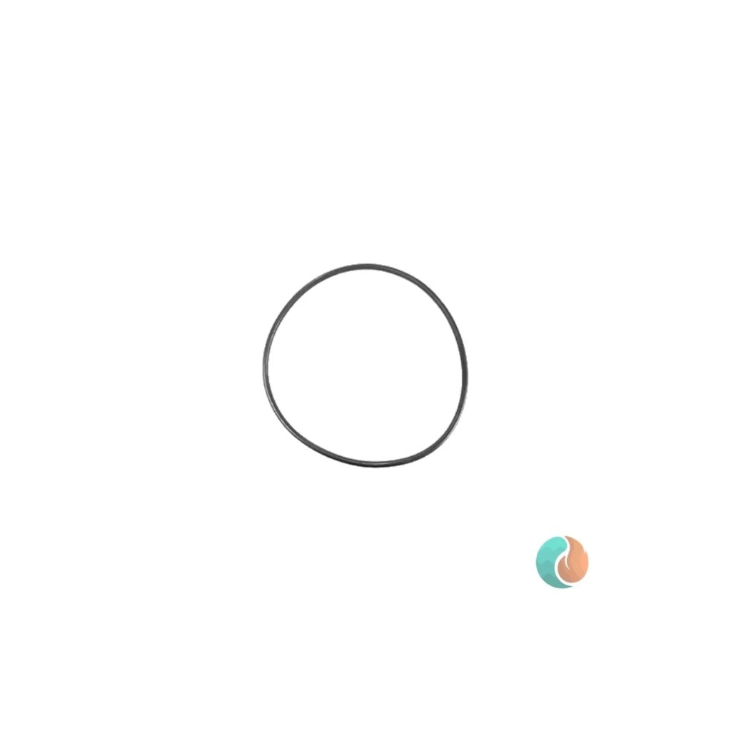 Aladdin O-Ring, Replacement | O-263-2