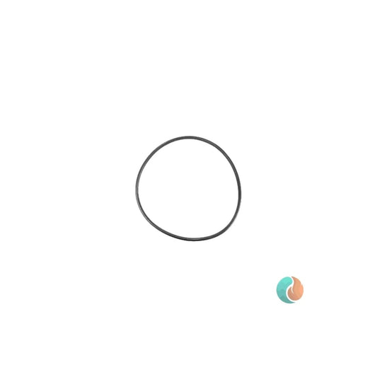 Aladdin O-Ring, Replacement | O-263-2