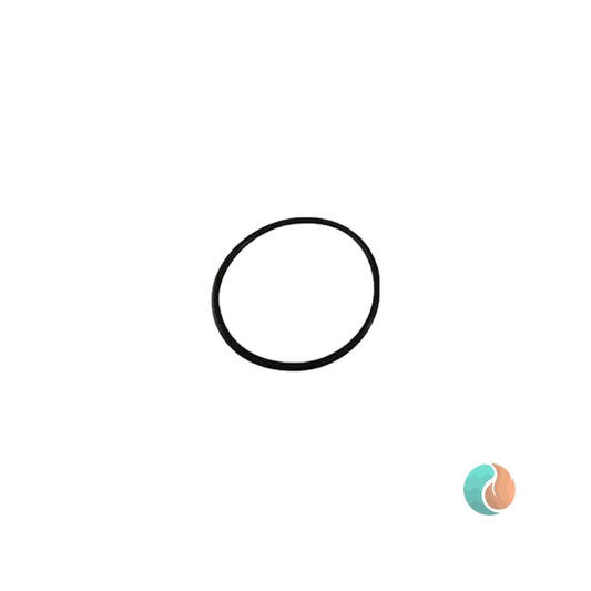 Aladdin O-Ring | O-318-2