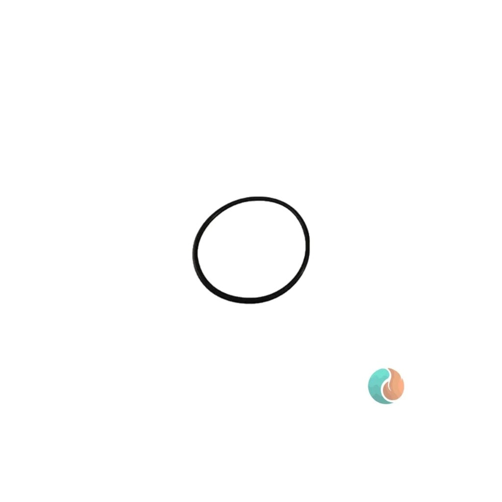 Aladdin O-Ring, Replacement | O-318-2