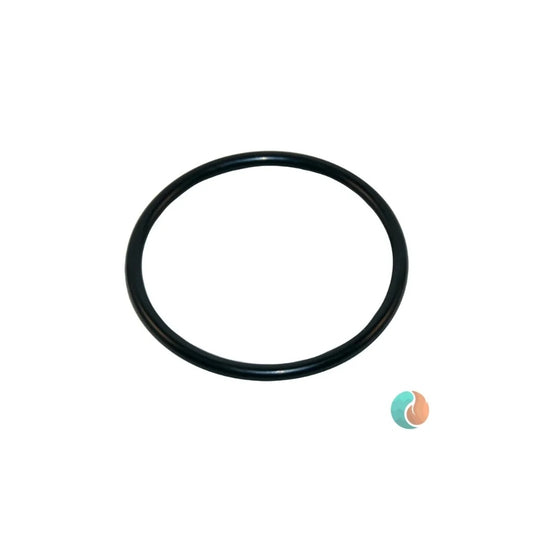 Aladdin O-Ring | O-49
