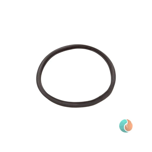 Aladdin Pool Light Lens Gasket | O-492