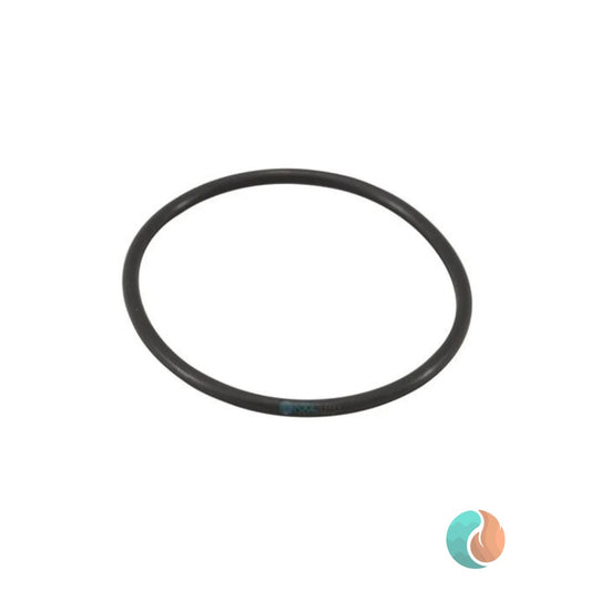 AutoPilot Union O-Ring | 19069-0