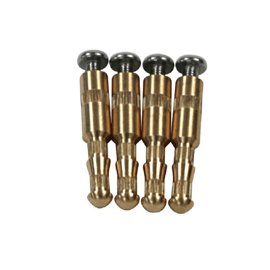 AquaStar Brass Inserts and Stainless Screws, Set of 4 | BIK4