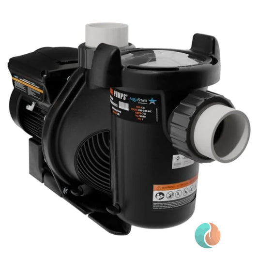 AquaStar Variable-Speed Pool Pump, 1.5 HP, High-Efficiency | PLP150S