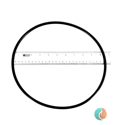 Pentair American Products Ultra-Flo Seal Plate O-Ring, for Ultra-Flo Pump | 39006000