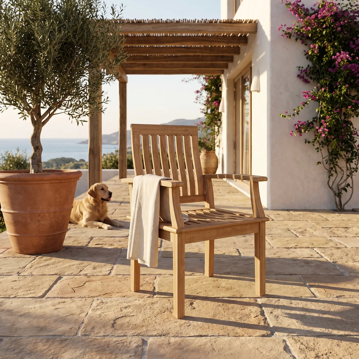 Anderson Teak Brianna Dining Armchair