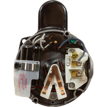 Century SQS1202R two-speed motor rear wiring compartment with terminal board and 230V lead connections