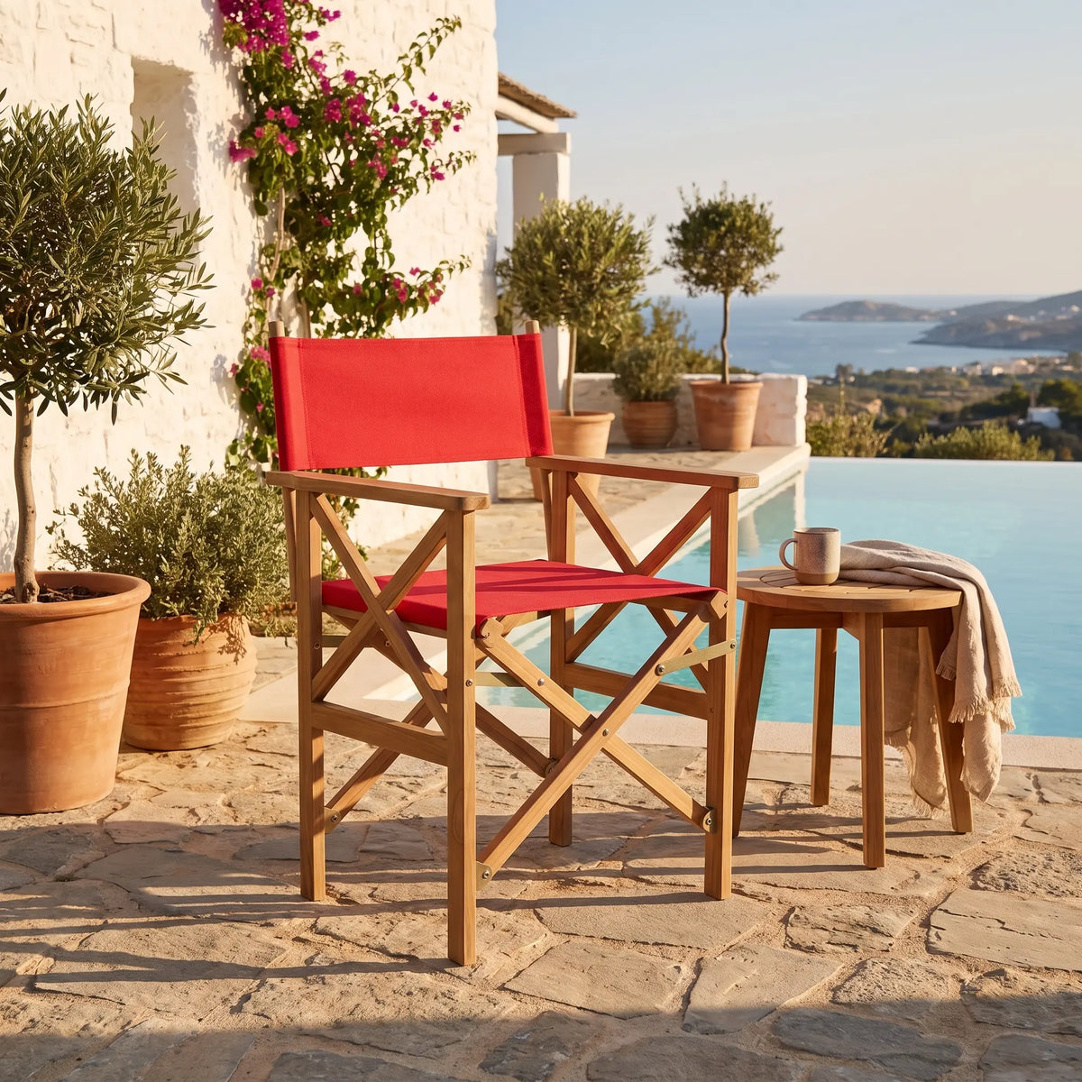 Anderson Teak Director Folding Armchair w/ Canvas