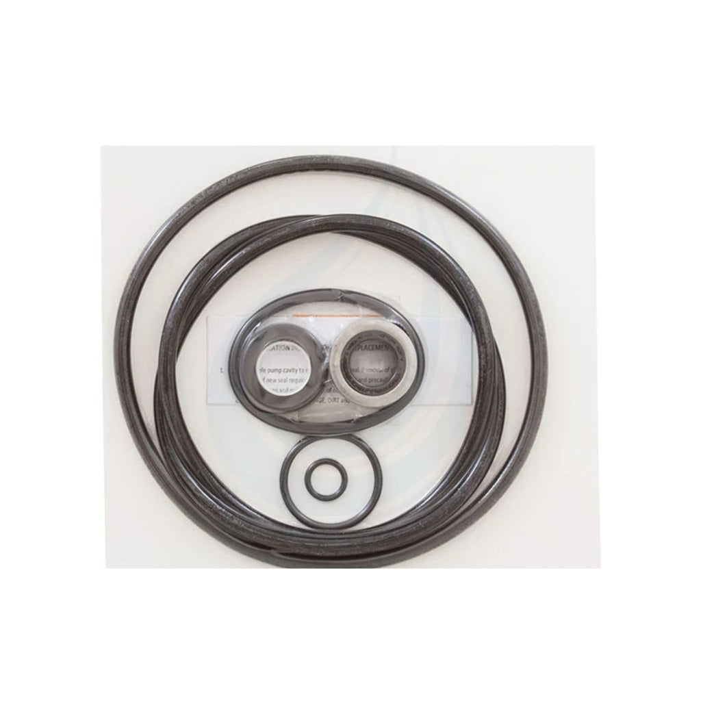 Aladdin GO-KIT38 Sta-Rite P4E P4EA Dura-Glas pump repair kit parts