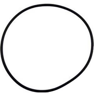 Hayward Cover O-Ring, model SPX0710Z3