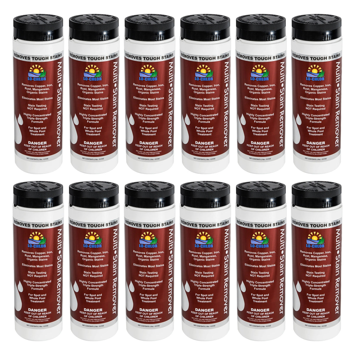 Lo-Chlor Multi-Stain Remover 1 qt, 12 pack of twelve bottles