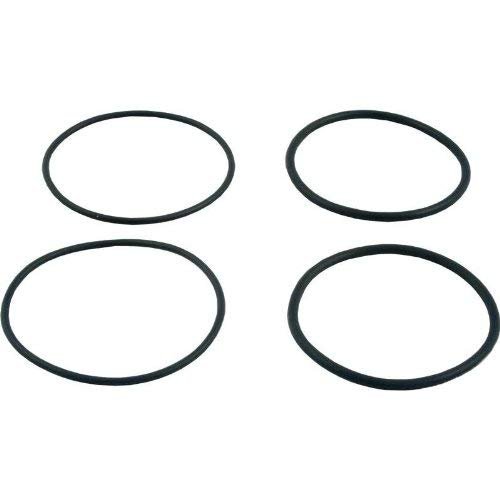 Raypak 006724F O Ring Inlet & Outlet Pool Kit