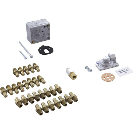 Raypak 005320F Propane to Natural Gas Conversion Kit
