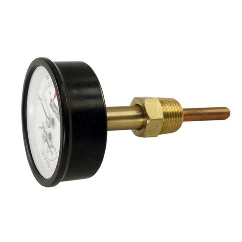 Raypak 007399F Temperature & Pressure Gauge Replacement