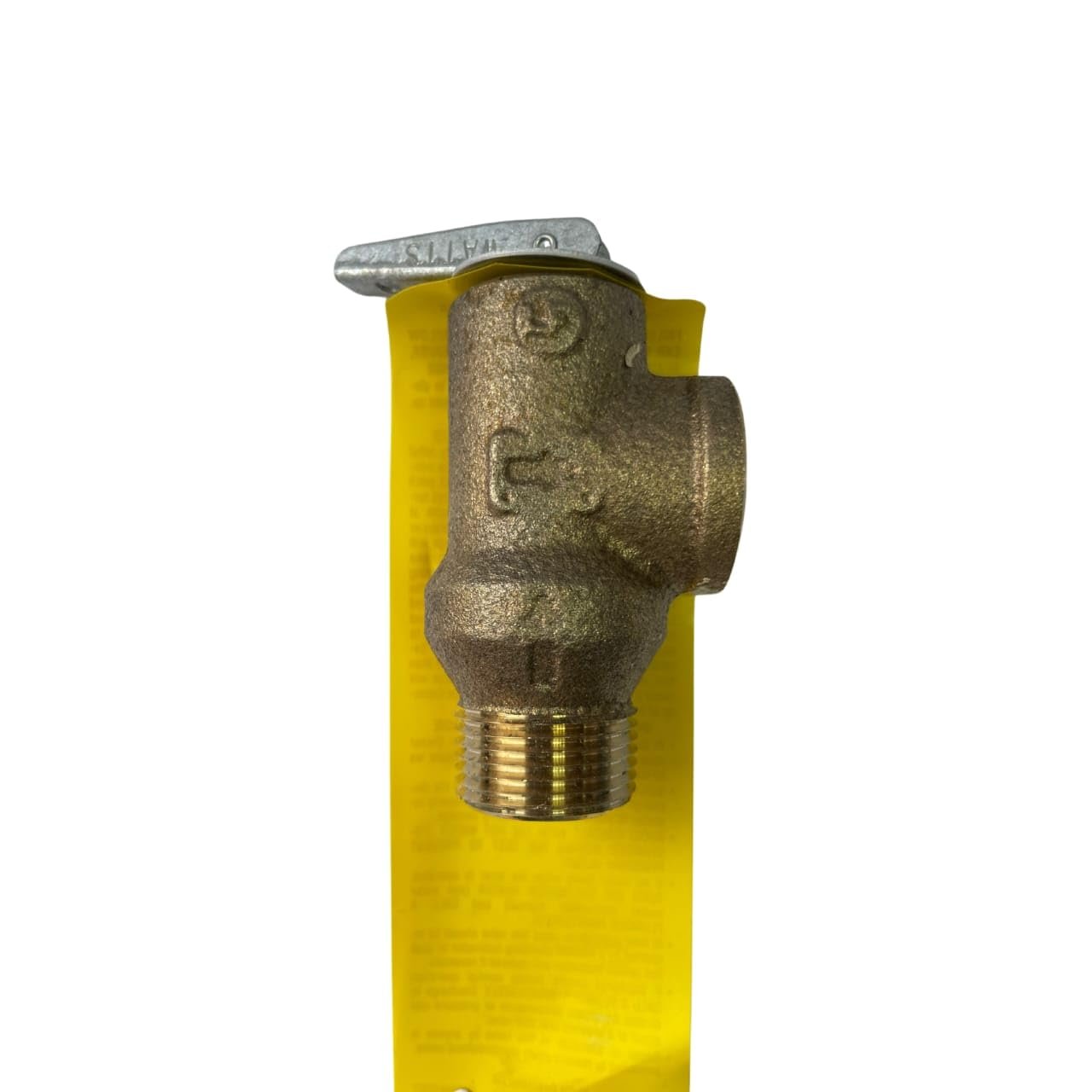 Raypak Authorized Dealer Aqua Terra Backyard