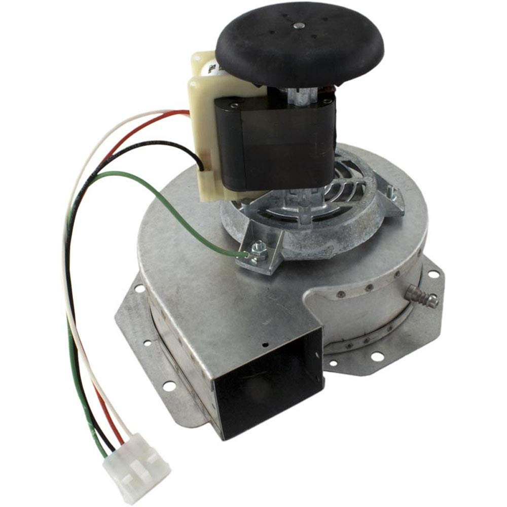 Raypak Authorized Dealer Aqua Terra Backyard