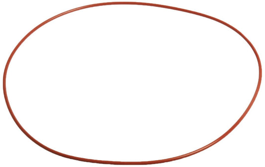 Raypak 006713F O-Ring Gasket Replacement (2-Pack) for Heaters