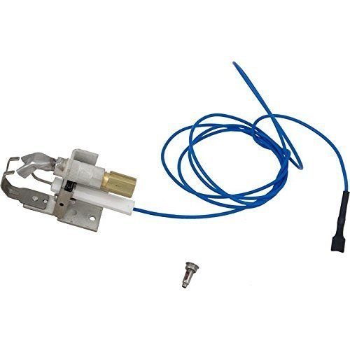 Raypak 002003F IID Pilot Assembly Replacement for Gas Heaters