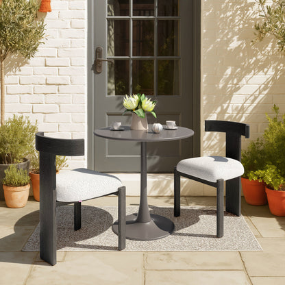 Tiana Outdoor Patio Dining Chair, Black & Beige