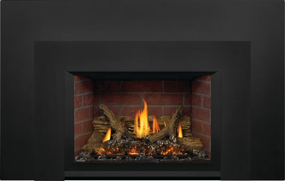 Napoleon Oakville X3 Direct Vent Insert, Natural Gas, model GDIX3N-1