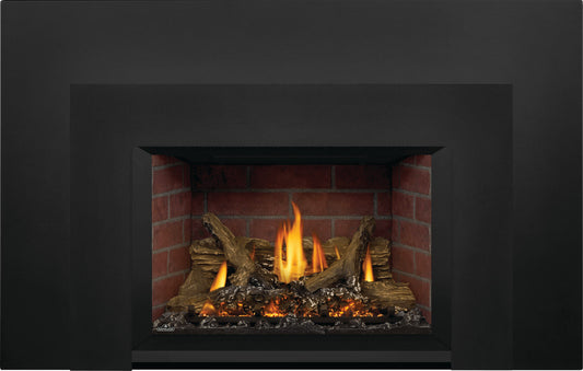 Napoleon Oakville X3 Direct Vent Insert, Natural Gas, model GDIX3N-1