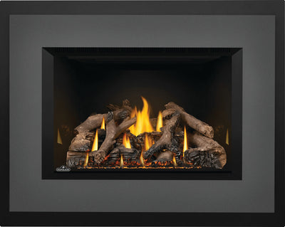 Napoleon Oakville X4 Direct Vent Insert, Natural Gas, model GDIX4N-1