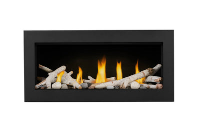Napoleon Vector Fireplace, Direct Vent, Natural Gas