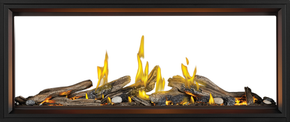 Napoleon Tall Linear Vector 62 See Through Fireplace with Luminous Logs, Natural Gas