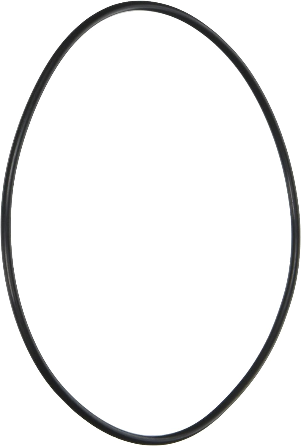 Pentair O-Ring for Drain Plug, model 192115Z