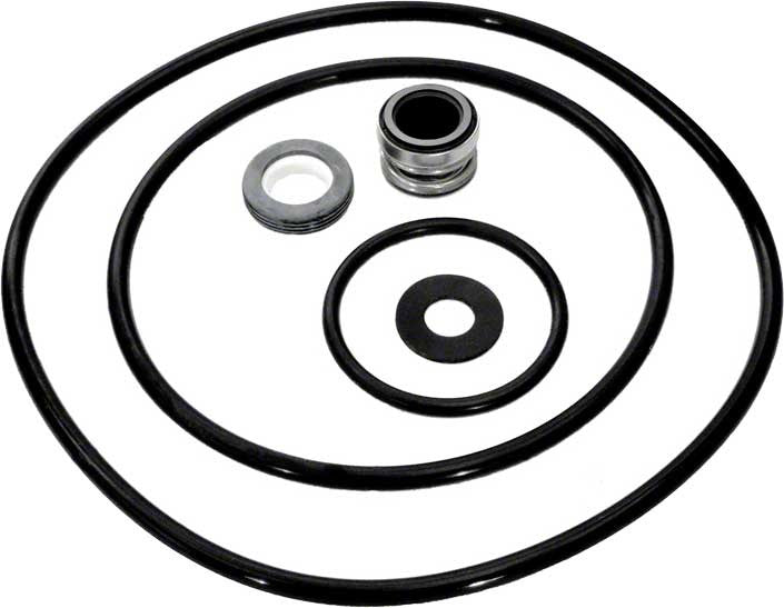 Pentair Parts Pak Seal and O-Ring Kit, model PP3000