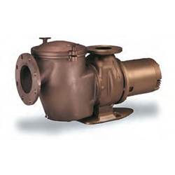 Pentair CHK-200 Commercial Pool Pump, 20 HP, 200-208V, 3 Phase, model 347948