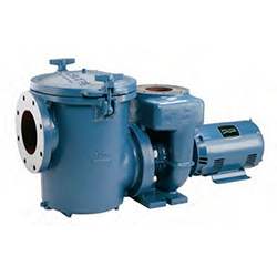 Pentair Commercial Pool Pump, 10 HP, 3 Phase, 230/460V, model CCSPHL3-143