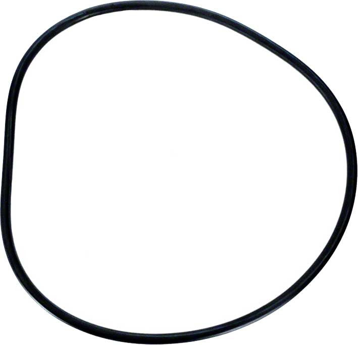 Pentair O-Ring Kit, for Channel 2000
