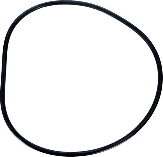 Pentair O-Ring Kit, for Channel 2000