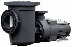 Eqwk300 Waterfall Pump W/Pot 3Hp, 3Phase | 340027