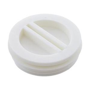 Pentair Flat Plastic Plug, 1-1/2 inch, White, model R22010Z