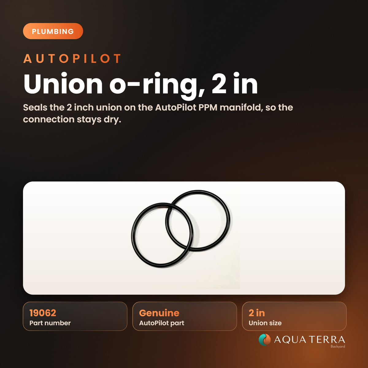 AutoPilot Union O-Ring, 2 inch, model 19062, view 2