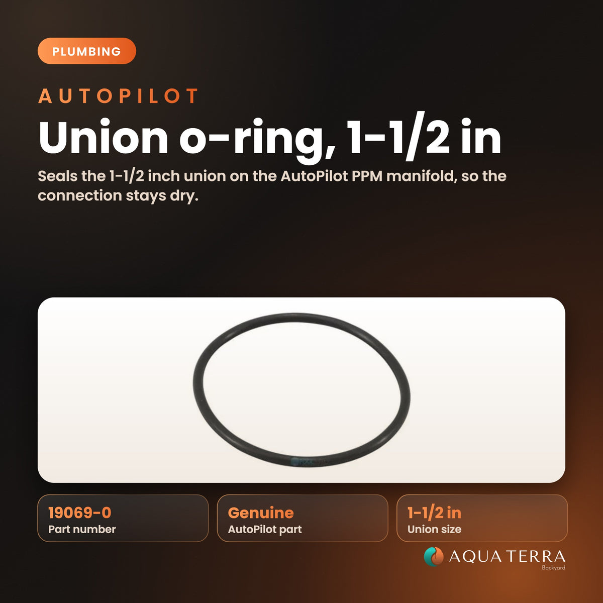 AutoPilot Union O-Ring, 1-1/2 inch, model 19069-0, view 2