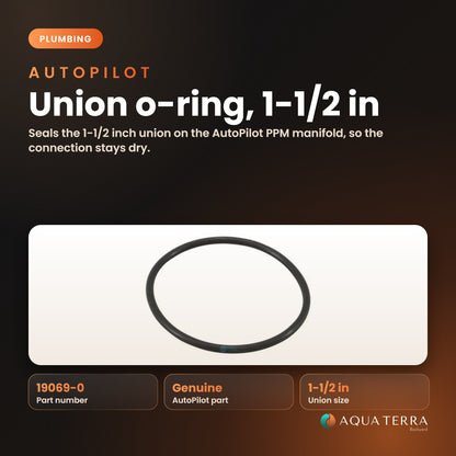AutoPilot Union O-Ring, 1-1/2 inch, model 19069-0, view 2